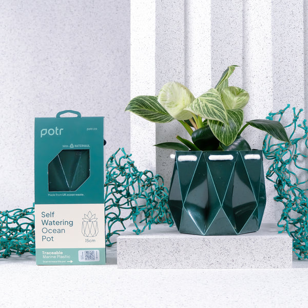 Potr ocean plastic plant pots