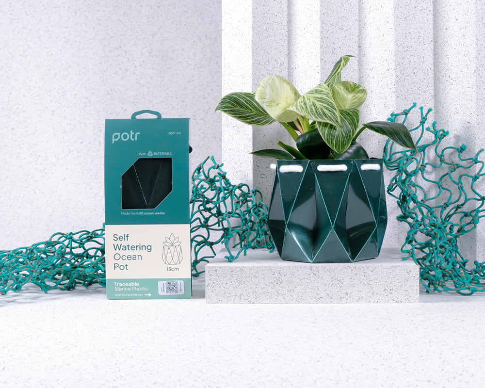 Potr-recycled-ocean-plastic-plant-pot-1.jpg__PID:f5d21730-d2af-4b92-b750-c6c1f63d757e