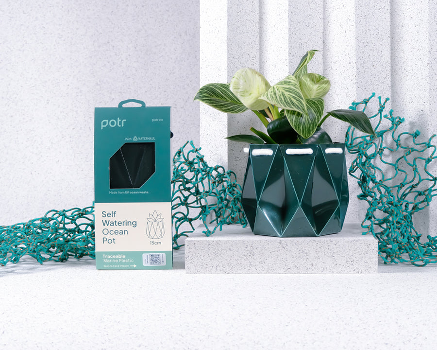 Potr-recycled-ocean-plastic-plant-pot-1.jpg__PID:f5d21730-d2af-4b92-b750-c6c1f63d757e