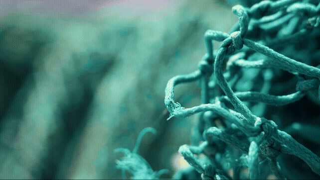 Waterhaul-recycling-impact.gif__PID:e8bd50dd-fe70-4088-ab8d-4629981f721c