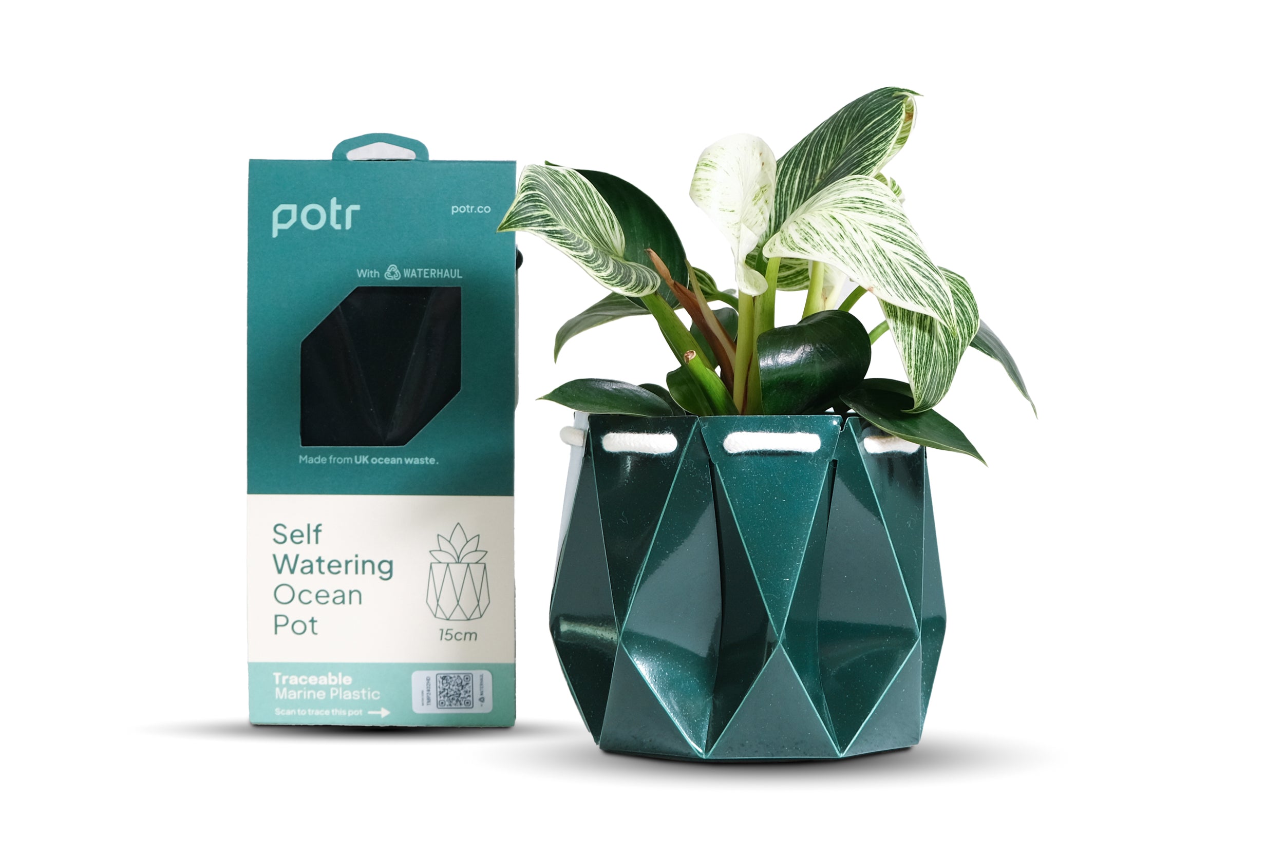 plant copies plastic plant POTR x Waterhaul Self-Watering Ocean Plant Pot · Waterhaul