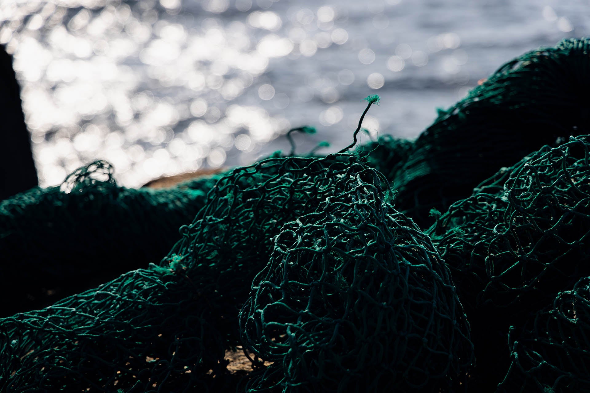 waterhaul-fishing-net-recycling.jpg__PID:31137bfd-5105-48d9-a3e3-67ed083e7f9b