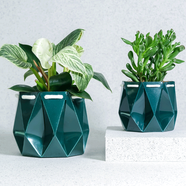 underwater plant pots POTR x Waterhaul Self-Watering Ocean Plant Pot · Waterhaul