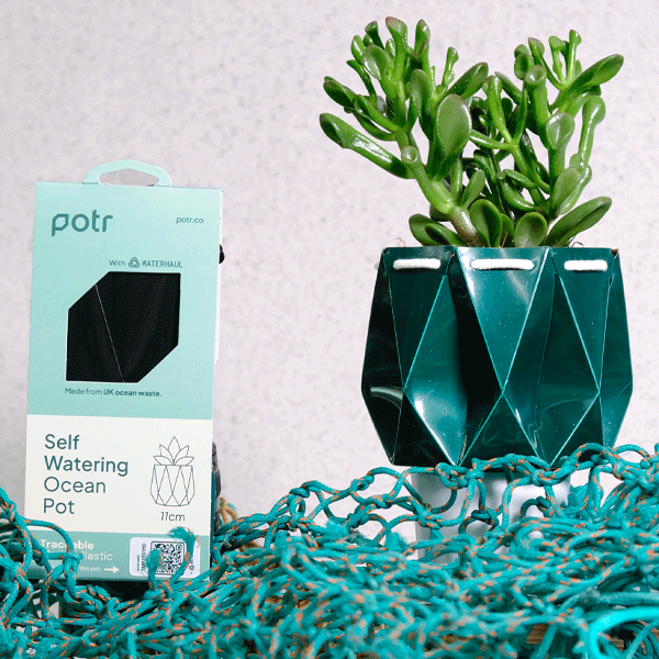 plant pot packaging POTR x Waterhaul Self-Watering Ocean Plant Pot · Waterhaul