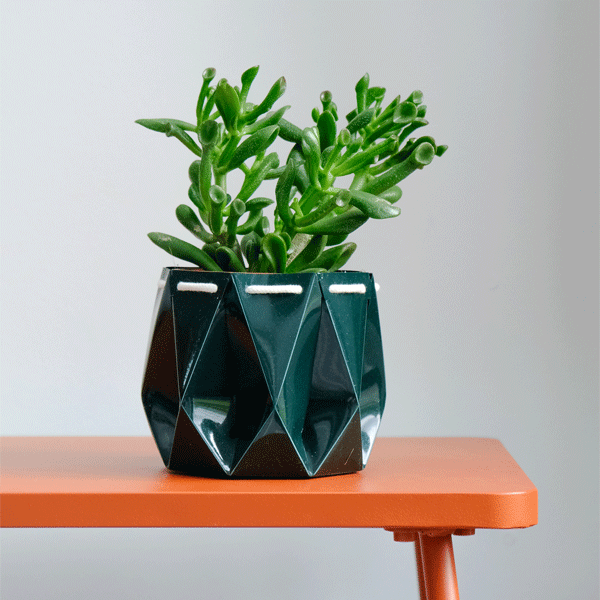 dissolvable plant pots POTR x Waterhaul Self-Watering Ocean Plant Pot · Waterhaul