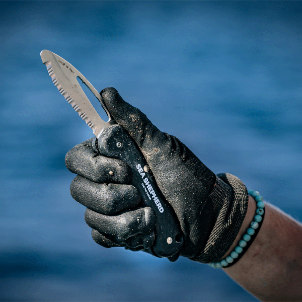 Hand wearing a black glove holding a Sea Shepherd branded knife with a blue background